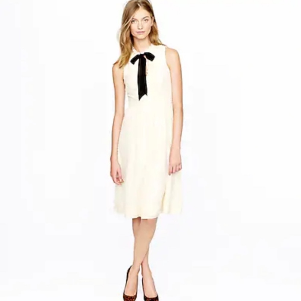 NWT J. Crew Swiss Dot Chiffon Dress - Size 14
